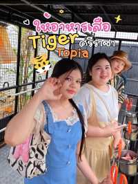 🐯 ให้อาหารเสือ ตื่นเต้นสุดๆ แค่ศรีราชา 