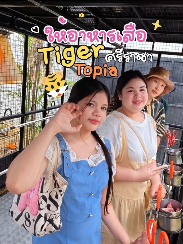 🐯 ให้อาหารเสือ ตื่นเต้นสุดๆ แค่ศรีราชา 