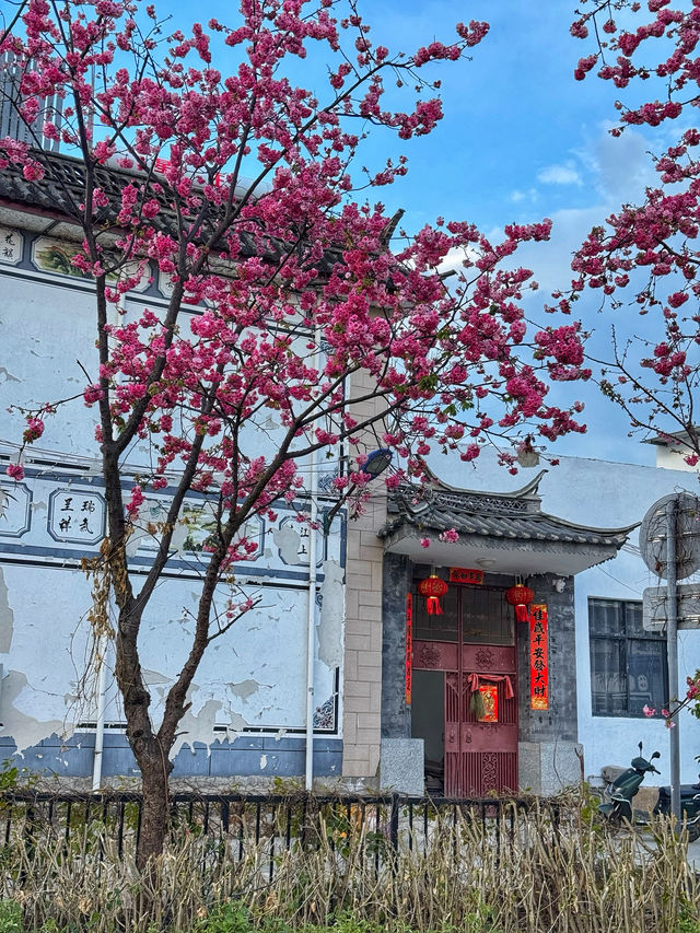 Tranquil Waters & Soft Light: A Spring Escape to Longkan Wharf