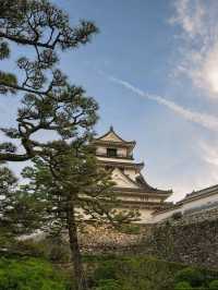 Kochi Castle Is a Hidden Treasure
