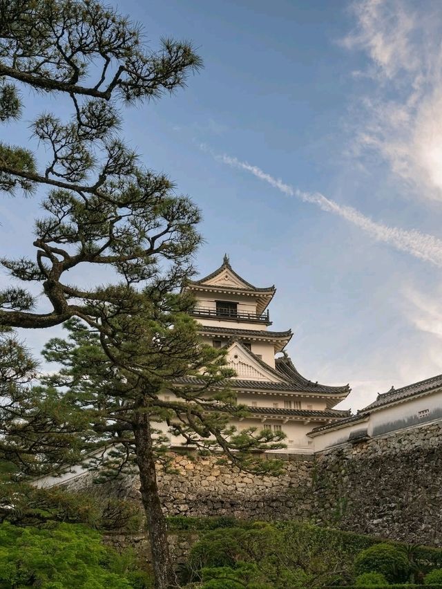 Kochi Castle Is a Hidden Treasure