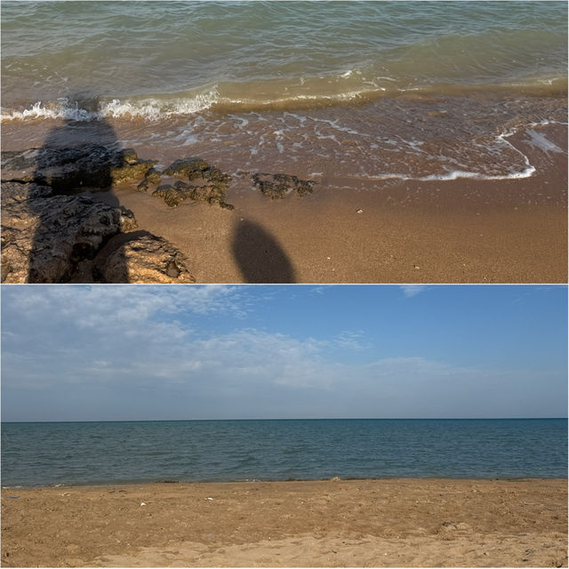 후루가다 해변 승마 + 세리비치 리조트에서 보낸 완벽한 하루