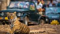Ranthambore Tiger Reserve