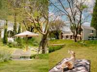 Trio Farm cafe