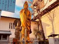 Discovering the Soul of Kyoto: A Journey Through Time and Tradition