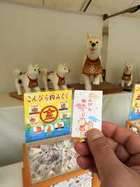 香川｜千階樓梯挑戰的金刀比羅宮 與金比羅犬有趣歷史