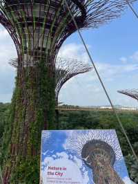 How to maximize your layover in Singapore… 