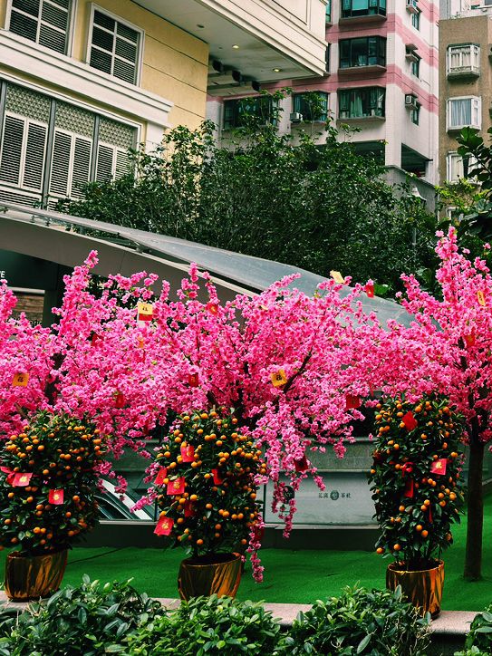 香港｜囍帖街｜香港深度遊的懷舊