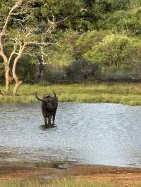 2 Days in Badulla – A Journey Through Nature and Culture
