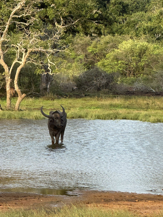 2 Days in Badulla – A Journey Through Nature and Culture