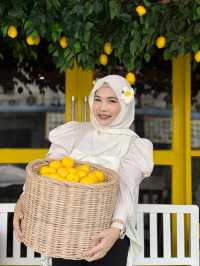 Time cafe & restaurant - ทุ่งสง นครศรีธรรมราช