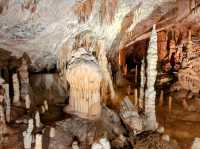 斯洛維尼亞 | 搭小火車輕鬆看鐘乳石洞---波斯托伊納溶洞 Postojna Caves