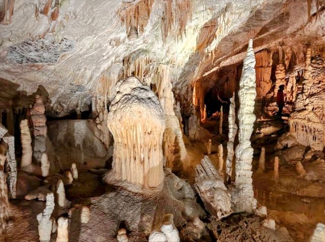 斯洛維尼亞 | 搭小火車輕鬆看鐘乳石洞---波斯托伊納溶洞 Postojna Caves