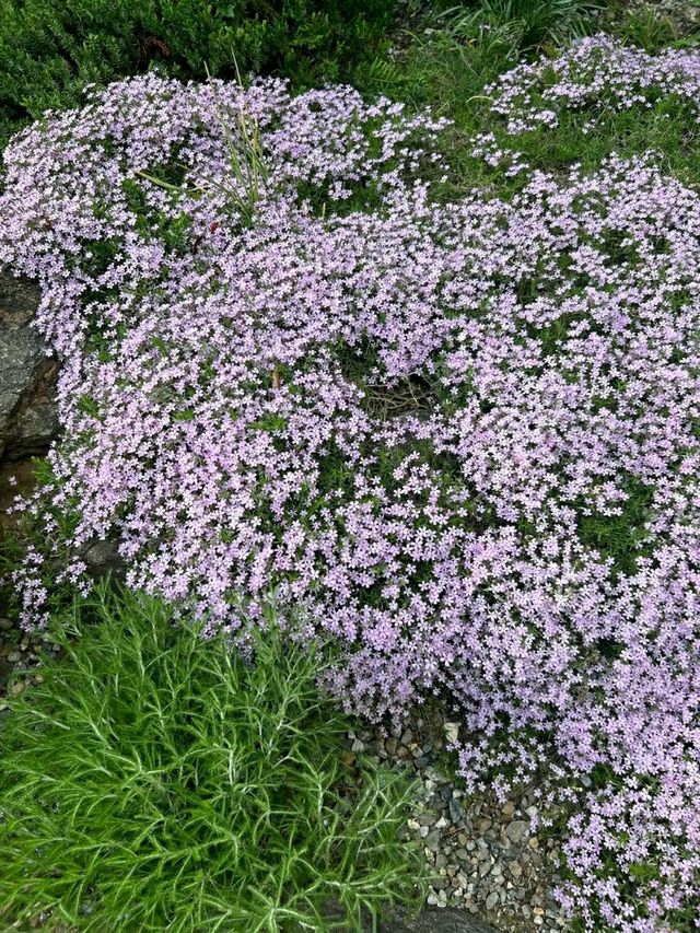 New York Botanical Garden – A Living Museum in the Bronx