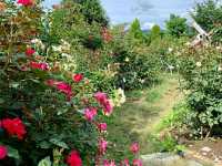 Katsunuma Garden – A Hidden Vineyard Paradise in Yamanashi