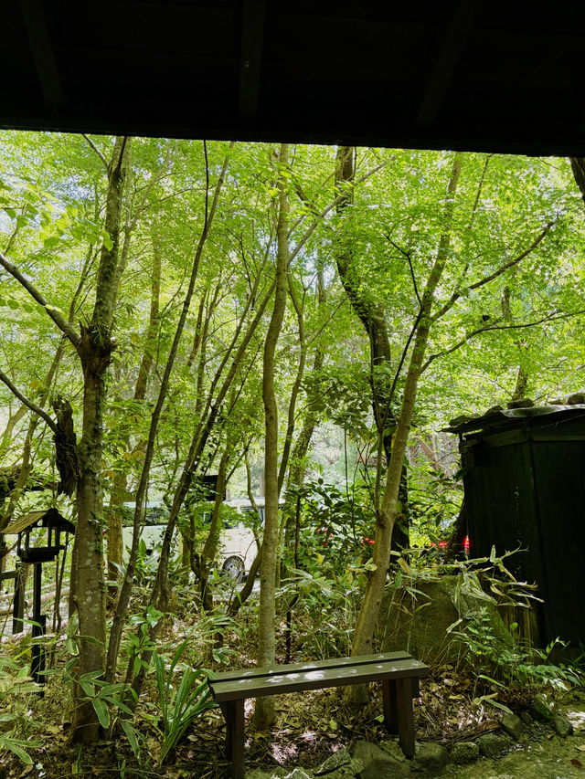 【福岡/朝倉】森の中にある蕎麦屋