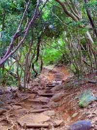 糸島龍貓森林