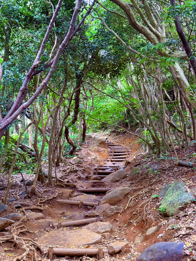 糸島龍貓森林
