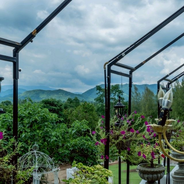 รีสอทร์ & คาเฟ่ กระต่าย กลางภูเขา สวนผึ้ง