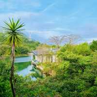 ～金山公園～端午節的綠意好去處～