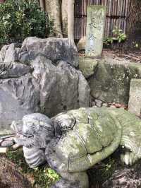 Winter Wonders in Fukui – Temples, Dinosaurs & Peaceful Shrines 