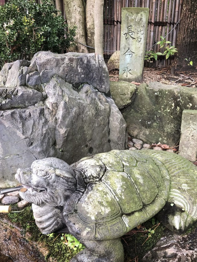 Winter Wonders in Fukui – Temples, Dinosaurs & Peaceful Shrines 