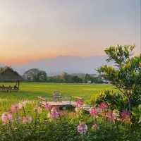 บ้าน Tarnchevee Homestay สายธรรมชาติ