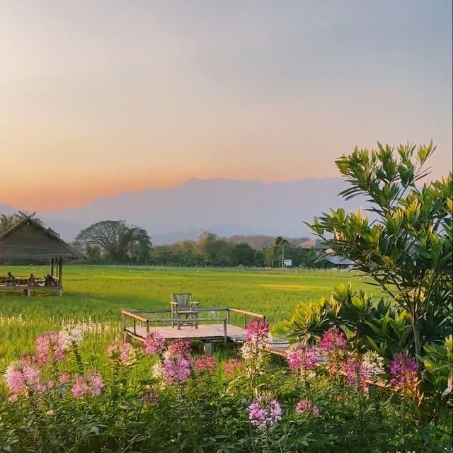 บ้าน Tarnchevee Homestay สายธรรมชาติ