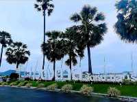อ่าวดงตาล สัตหีบ หาดสวยน้ำใส ต้นตาลเรียงรายสวยงาม