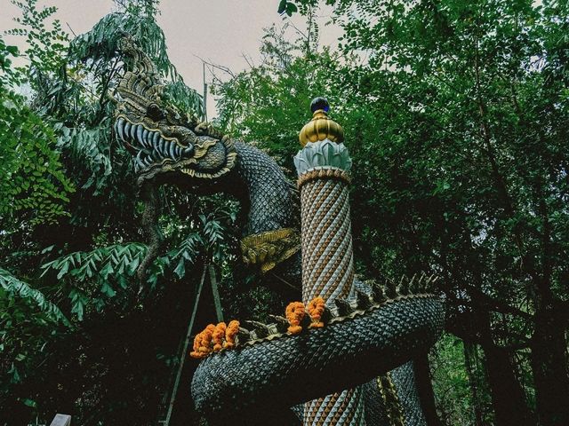 พญานาคในขุนเขา เขาลังพัฒนา ลพบุรี