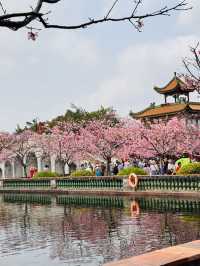Blooming into Spring at Guangzhou’s Hidden Gem