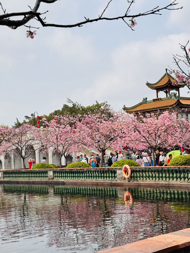 Blooming into Spring at Guangzhou’s Hidden Gem