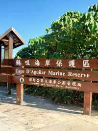 端午節鶴咀觀浪潮
