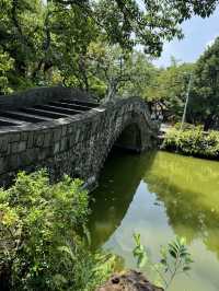 A natural oasis in an urban setting 