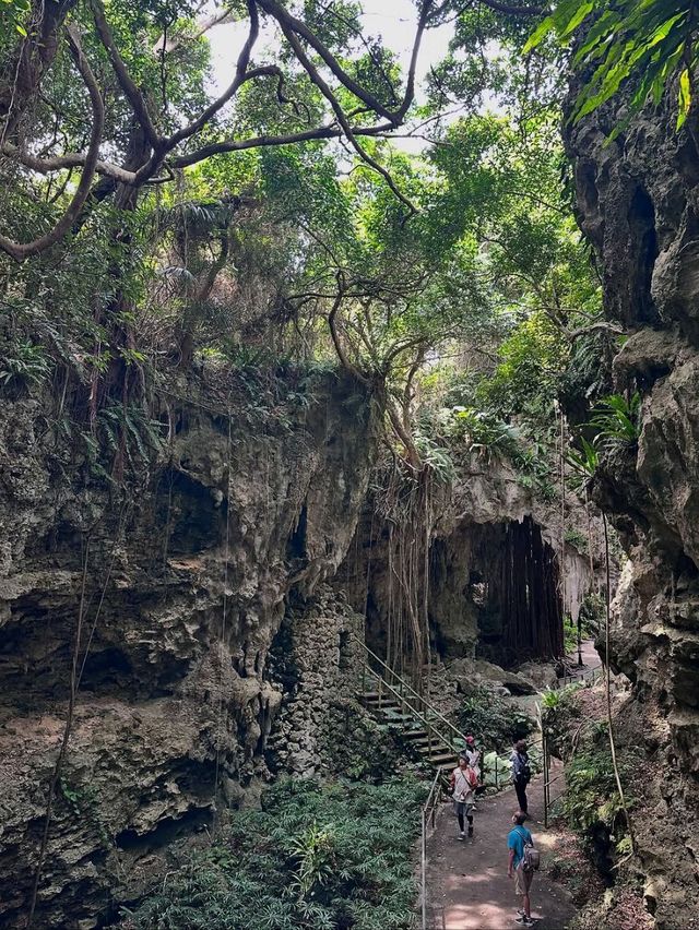 Spring Jungle Feels