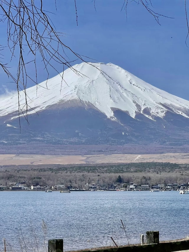 端午假期小旅行⛱️富士山三天兩夜自由行攻略🗻