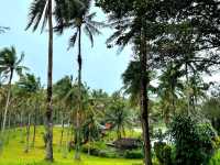 A Quick Escape to Cavinti, Laguna