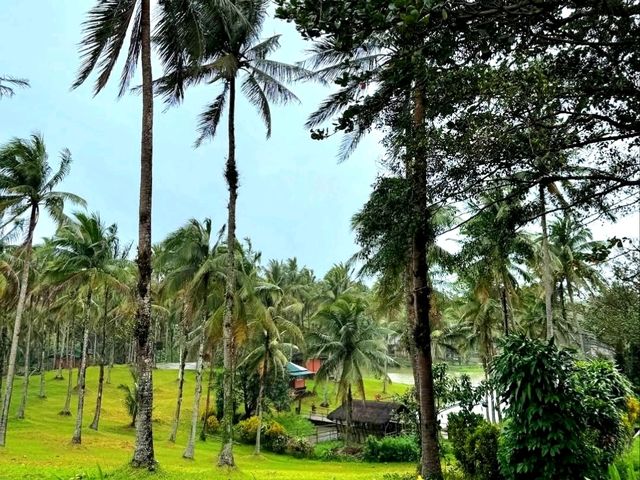 A Quick Escape to Cavinti, Laguna