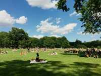 Central Park: NYC’s Urban Oasis