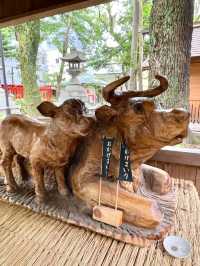 A Relaxed Walk Around Nagoya – Shrines, Temples & Coffee Breaks
