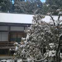 【高野山】金剛峯寺