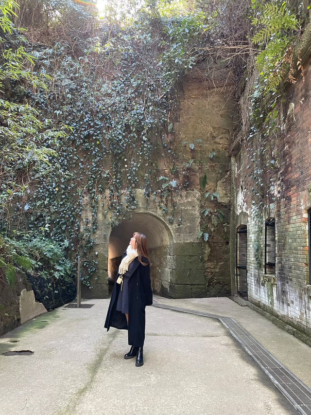 東京からすぐ行ける秘境🫣🌿豊かな自然と済んだ海の美しい無人島🏝