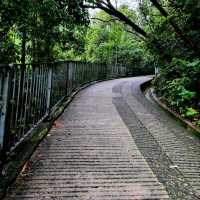 Your Chill Escape from the City Hustle