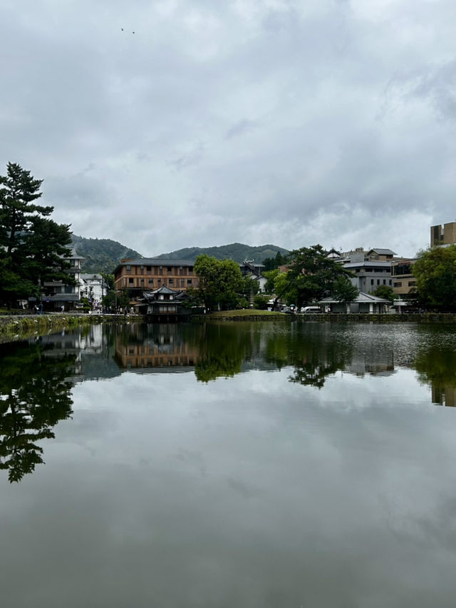 🦌🏯 Kōfuku-ji Temple Weekend Escape: Ancient Wonders & Deer Encounters
