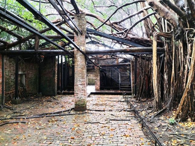 Anping Tree House