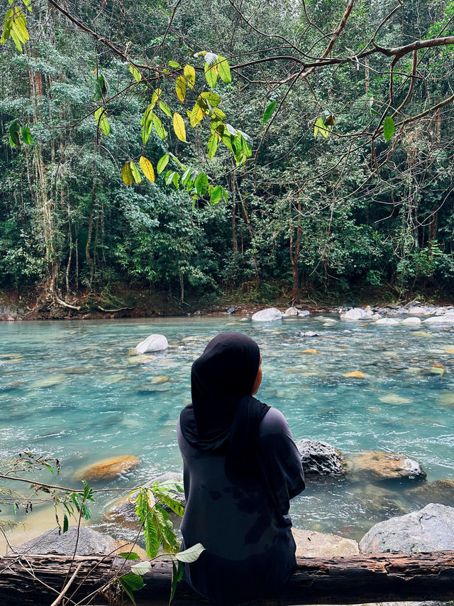 Cooling Off at Lata Changkah – Setiu’s Hidden Nature Escape!