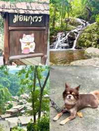 チェンマイから1時間半、山の中の癒し旅へ🌿村の時間が待っている。