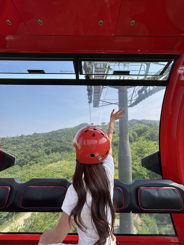 요즘같은 날 케이블카 타고 올라가서 즐기기 좋은 루지❤️