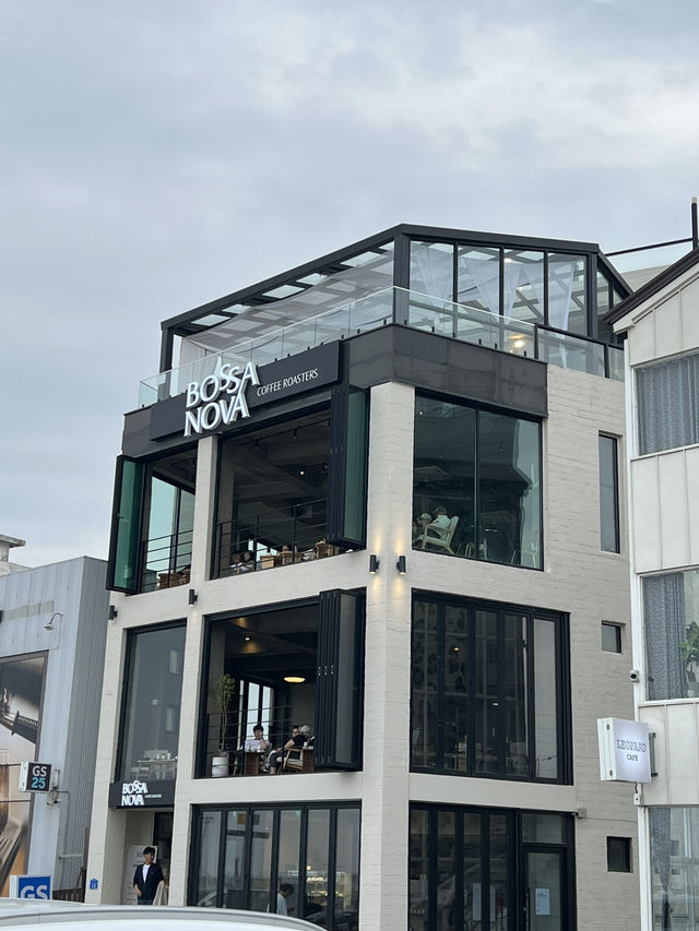 동해안 바다가 보이는 멋진 카페들