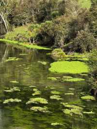 Blue Springs, NZ